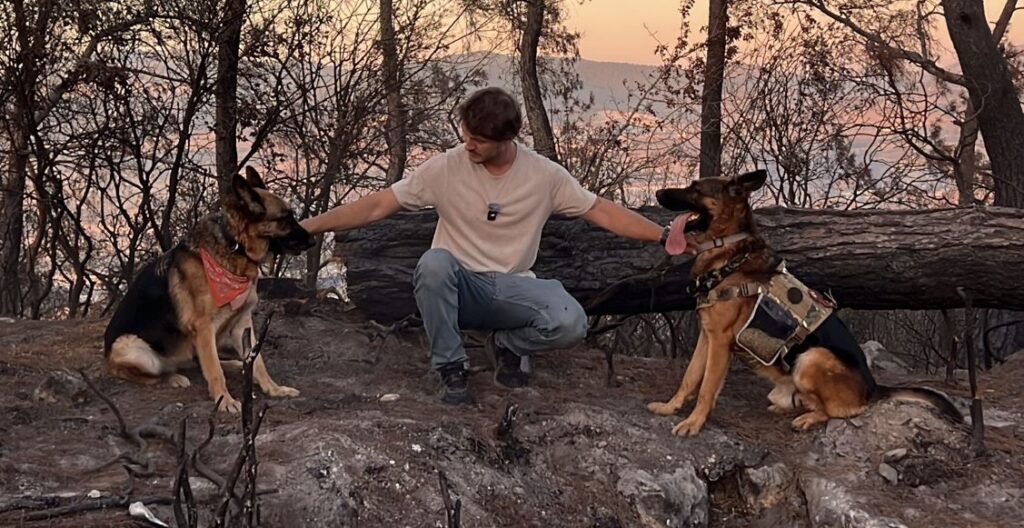 Kahraman Köpekler ve Tohumlar, İzmir Bozköy’de Yanan Ormana Yeniden Hayat Veriyor