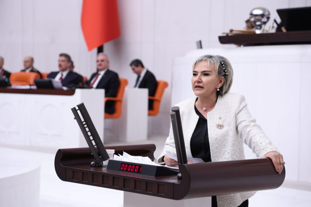 Özdemir’den Trafik Cezaları Görüşülürken Vicdan Vurgusu: “Sorun Bütçede Değil, Vicdanda”